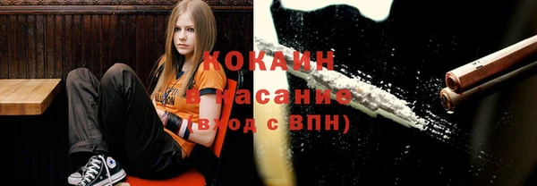 mix Богородицк