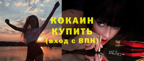 mix Богородицк