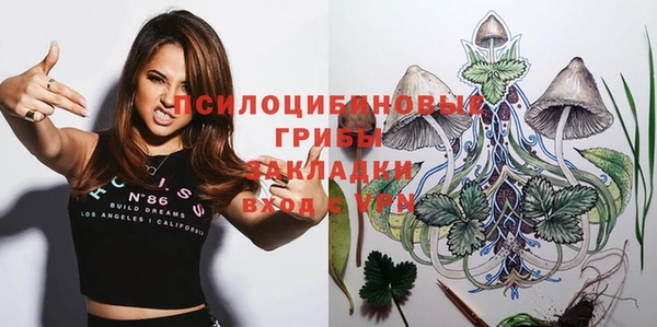 мяу мяу кристалл Богданович