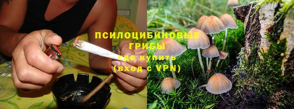 прущая мука Верея