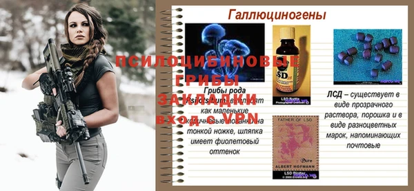 mix Богородицк
