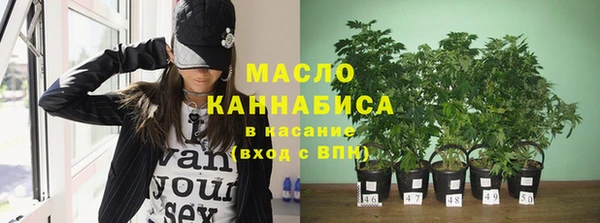 mix Богородицк