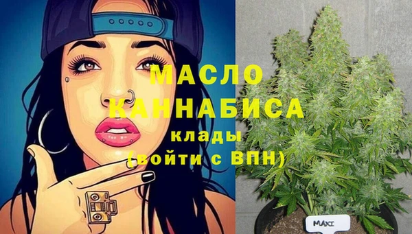 mix Богородицк